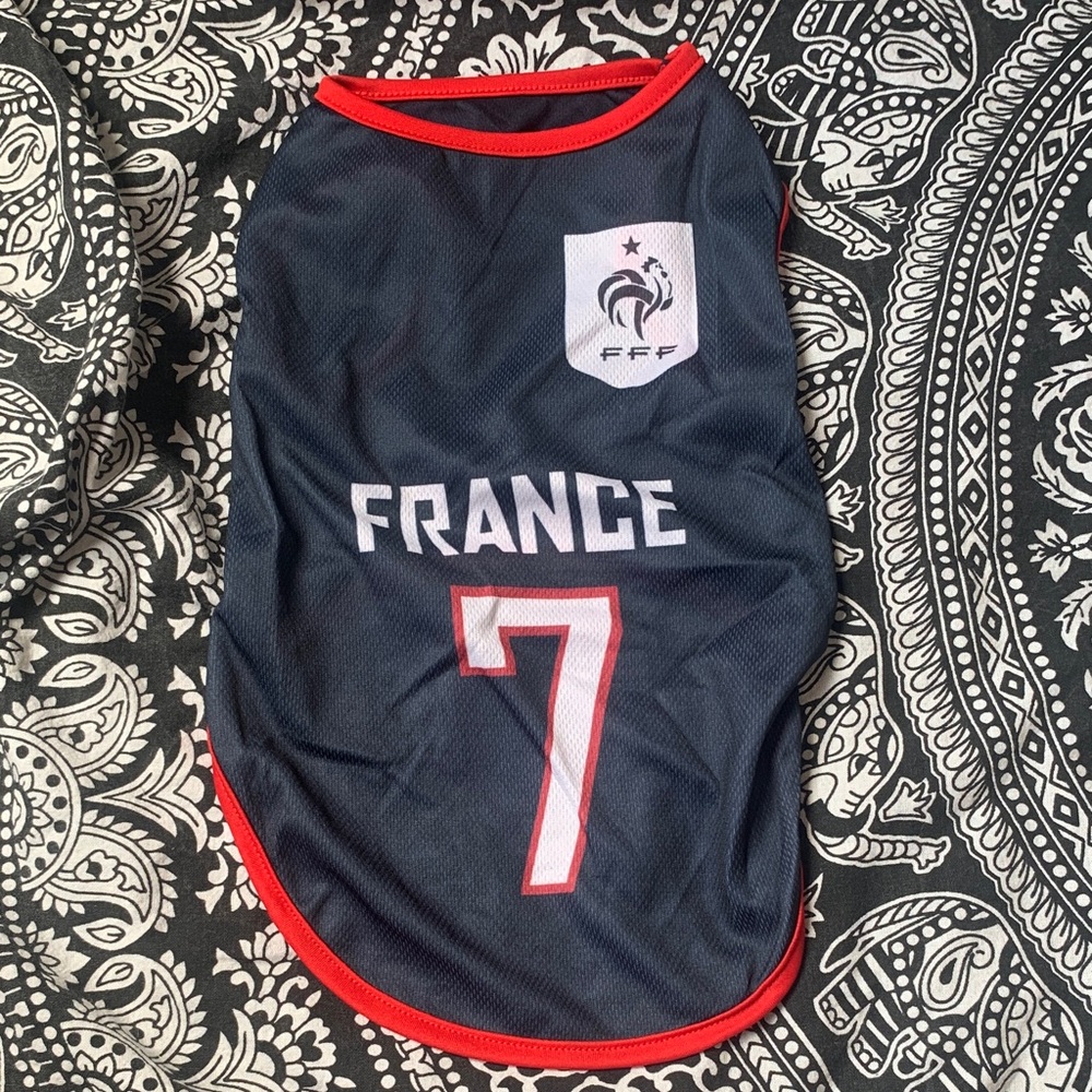 France Dog Jersey with Red Trim